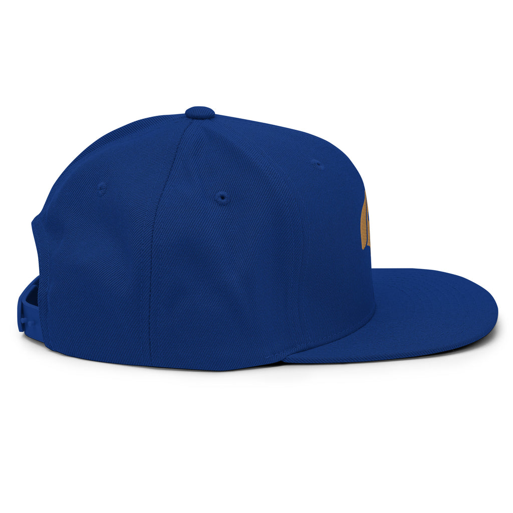 Baseball Dog Snapback Hat